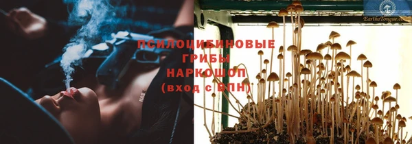 мдпв Михайловка