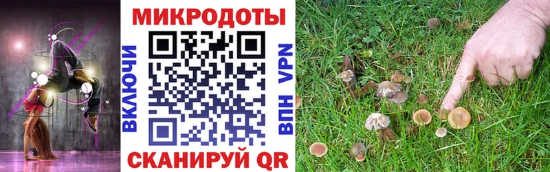 Галлюциногенные грибы мицелий  Карабаново 