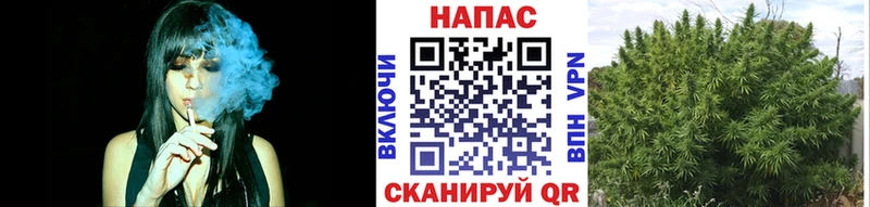Каннабис план Карабаново